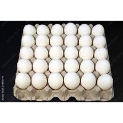 HUEVO DE GALLINA PRODUCCION COOPERADA