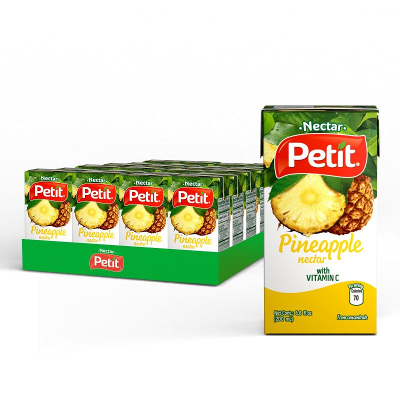 JUGO NECTAR PETTI 1x6 x 24 u