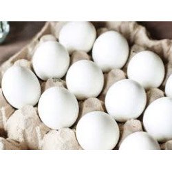 HUEVO BLANCO DE GALLINA