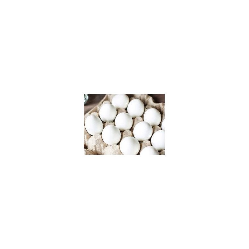HUEVO BLANCO DE GALLINA