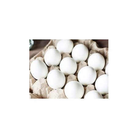 HUEVO BLANCO DE GALLINA