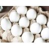 HUEVO BLANCO DE GALLINA