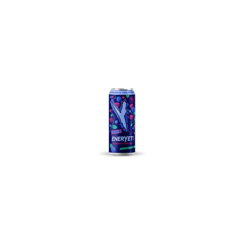 BEBIDA ENERGETICA EVOLUTION 500 ml