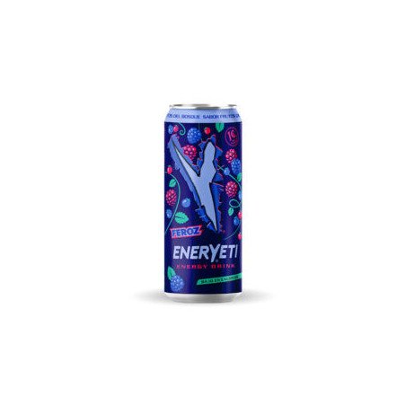 BEBIDA ENERGETICA EVOLUTION 500 ml